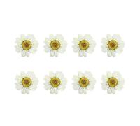 Dried Daisy Flowers Handmade Accessories 12pcs for Nail Art Decoration | White Pressed Blooms, Scrapbook and Bookmark Craft Use, Wedding or Holiday Decor, for Home and Cell Phone Case