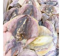 Dried Dehydrated Bone Fish Cuttlefish cuttles cuttlebone 本港墨魚乾 花枝 烏賊 Free Worldwide AIRMAIL (250 grams (7-9 pieces))