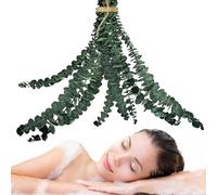 Dried Eucalyptus for Shower,Natural Large Eucalyptus Stems - Dry Bundle Arrangements Beauty Decor Centerpiece for House Bathroom Spa Living Room Apartment Home Salon