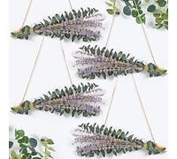 Dried Eucalyptus Lavender Bundle for Shower Hanging, Natural Real Eucalyptus Leaves Plant Stems and Dried Lavender Flowers Shower Plant for Fragrance Farmhouse Boho Bathroom Bedroom Wall Decor (4)