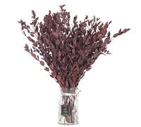 Dried Eucalyptus Leaves Preserved Greenery Stems, 8-14 PCS Eucalyptus Garland Branches, 4 OZ Natural Eucalyptus for Shower, Red Leaves Plant Bundle for Wedding Wreath Party Home Decor Vase Filler