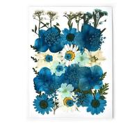 Dried Flower Decor 1set DIY Real Pressed Flower with Leaves, Dried Flowers for Scrapbooking, Grass for Resin
