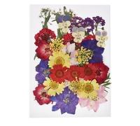 Dried Flower Decor 1set DIY Real Pressed Flower with Leaves, Dried Flowers for Scrapbooking, Grass for Resin
