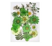 Dried Flower Decor 1set DIY Real Pressed Flower with Leaves, Dried Flowers for Scrapbooking, Grass for Resin