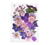 Dried Flower Decor 1set DIY Real Pressed Flower with Leaves, Dried Flowers for Scrapbooking, Grass for Resin