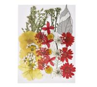 Dried Flower Decor 1set DIY Real Pressed Flower with Leaves, Dried Flowers for Scrapbooking, Grass for Resin