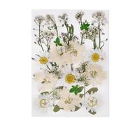 Dried Flower Decor 1set DIY Real Pressed Flower with Leaves, Dried Flowers for Scrapbooking, Grass for Resin