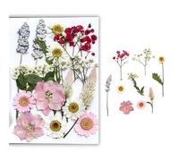 Dried Flower Decor Dried Pressed Flower Set for Art Craft, DIY Handmade Candle Real Dry Leaves, Plant Specimen