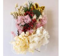 Dried Flower Dry Plants for Aromatherapy Candle, Dry Flower Leaves Mixed Multiple Colorful, for DIY Crafts Nail Art Candle Soap Making Phone Case Jewelry Pendant Crafts Decoration (White)