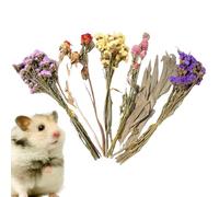 Dried Flower Hamster Bedding - Animal Flowers Habitat Decor,Natural Theme Decoration Flower Hamster Bedding Cage Accessories For Gerbils