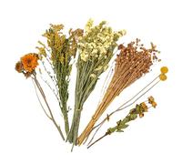 Dried Flower Hamster Bedding | Natural Chinchilla Habitat Decor,Gerbil Shelter Decoration,for Bunny Hedgehog Pet Parents Weddings Camping Themed Parties Christmas Thanksgiving Art Festivals