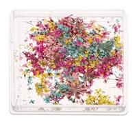 Dried Flower Nail Art Decoration Box Set Japanese Style 1 Box | Mixed Pressed Blooms, Storage Box Included, for Manicure and DIY Nail Decor Random Color