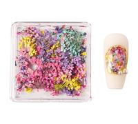 Dried Flower Nails Art Charms Japanese Nail Decoration for Acrylic Manicure Accessories Dried Flower Nail Decoration Japanese for Women
