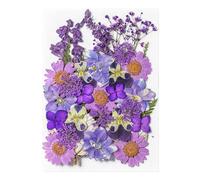 Dried Flower Stickers - 35pcs Botanical Plant Stickers for Journal, Aesthetic Botanical Stickers | Pressed Flower Aesthetic Art, Dried Flower Printing, Stickers for Recor Albums