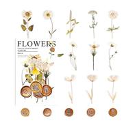Dried Flower Stickers - Natural Flower Decorations, Dried Flower Decals | Variety Pack Pressed Flowers, Plant Decals for Scrapbook Supplies Art Craft Journal Plan