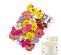 Dried Flower Stickers - Real Pressed Nature Design, Waterproof Botanical Stickers, Transparent PET Scrapbook , Decorative Self-Adhesive Plant Label for Journaling, TA