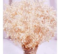 Dried Flowers Babys Breath Flowers Bouquet-17 inch 1600+ Ivory White Flowers, Natural Gypsophila Branches for Wedding DIY Home Party Decor Table Vase Decor(Ivory White)