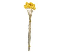 Dried Flowers Bouquet, Multifunctional Dried Flowers Bundles Decoration, Yellow Golden Thistle - Long Lasting Natural Bloom, Versatile for Wedding Parties and Home Decor