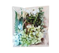 Dried Flowers - diys Natural Flower Leaf Kit | Natural Vivid Dried Flowers | diys dried flower kit | Elegant and Vibrant Dry Flowers for Photo Frame Resin Mold diys Candle and More