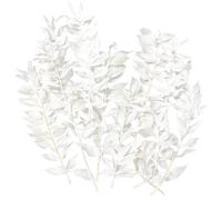 Dried Flowers, Dried Ruscus, Dry Dried Flowers Crafts for Diy Arts Resin Scrapbooking Jewelry Making Floral Decorations Cupcake Decorating (White)