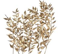 Dried Flowers, Dried Ruscus, Dry Dried Flowers Crafts for Diy Arts Resin Scrapbooking Jewelry Making Floral Decorations Cupcake Decorating (Gold)