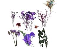 Dried Flowers for Crafts, Preserved Dried Wildflowers with Stems, Seasonal Decor for Shower Garden Wedding Jewelry Making Dinner Market Christmas