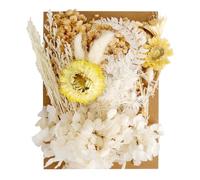Dried Flowers For Crafts,White Dried Flowers,Dry Flowers For Decoration,Dried Pressed Flowers For Crafts,Mixed Diy Set For Arts & Crafts, Resin, Scrapbooking, Card Makin, Bookmarks