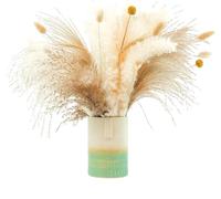 Dried Flowers for Home Decor, 80 Pcs Dried Pampas Grass Bouquet Branches Multicolor for Wedding Home Decor Flower Arrangements(80pcs No Vase E-01)