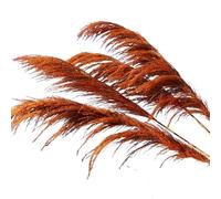 Dried Flowers for Home Decor, Artificial Pampas Grass Dried Flowers Multicolor Pack Of 2(Orange)