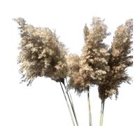 Dried Flowers for Home Decor, Dried Pampas Grass And Rabbit Tail Decor Pack Of 100 40-50 cm(12pcs Pamapas)