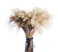 Dried Flowers for Home Decor, Dried Pampas Grass And Rabbit Tail Decor Pack Of 100 40-50 cm(50pcs Pampas)