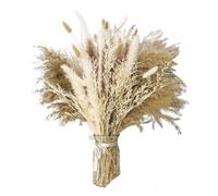 Dried Flowers for Home Decor, Dried Pampas Grass And Rabbit Tail Decor Pack Of 100 40-50 cm(80pcs Pampas)