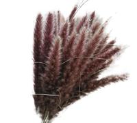 Dried Flowers for Home Decor, Pack Of 30 Artificial Dried Small Pampas Grass Flowers Multicolor(Primary Color)