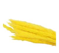 Dried Flowers for Home Decor, Pack Of 30 Artificial Dried Small Pampas Grass Flowers Multicolor(Yellow)