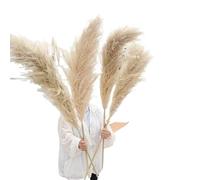 Dried Flowers for Home Decor, Pampas Grass Dried Flower Bouquet Beige 30-75cm Pack of 10(10pcs Plume 51-60cm)