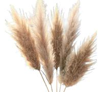 Dried Flowers for Home Decor, Pampas Grass Dried Flower Home Garden Decoration Vase Pack of 3/5/10(10pcs)