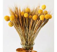 Dried Flowers for Vase - 100 Wheat Stalks & 15 Yellow Billy Buttons