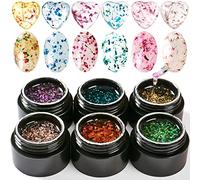 Dried Flowers Gel Nail Polish, Bellecrey Flower Fairy Gel Polish, Soak Off UV Holographic Varnish Real Flower Gel Rose Gold Pink Green Blue Purple Nail Polish 6 Colours/Set