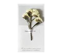 Dried Flowers Greeting Cards, Creative Teacher's Day Dry Flower Cards, Decorative Flower Cards, Handmade Greeting Cards Invitation Card Signature Cards Travel Thank You Card