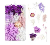 Dried Flowers Material Kit Handmade DIY Dried Flowers for Crafts Kit, Dry Flowers Decoration Multi-coloured Dried Flowers for Use in Wall Hanging Decorations, Gift Wrapping Decorations (Purple)