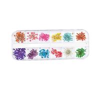 Dried Flowers,Nail Dried Flowers Nail Natural Art 12 Colors Gypsophila Flowers 3D Colorful Nail Decals Decoration,Nail Art Flowers,Nail Dried Flowers