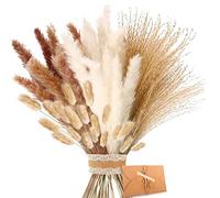 Dried Flowers - Natural Dried Pampas Grass Bouquet, Brown、White Pampas Grass Fluffy Fronds, Boho Home Decor Bouquet for Wedding Flower Arrangement Home Decor