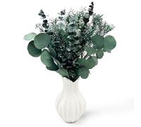 Dried Flowers Preserved Green Fresh Real Eucalyptus Plant Stems Branches mit 3Type for Flower Arrangement, Wedding Decor, Home Décor