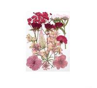 Dried Flowers, Pressed Dried Flowers, Dried Flower Crafts For DIY Art Resin Scrapbook Making Flower Decoration Mobile Phone Case DIY, Making Illustrations(for PINK)