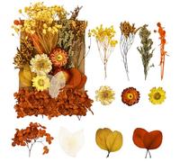 Dried Flowers, Pressed Dry Dried Flowers Crafts for DIY Arts Resin Scrapbooking Jewelry Making Floral Decorations（Orange Yellow）