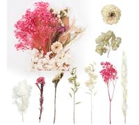 Dried Flowers, Pressed Flowers Dry Flowers Dried Flowers Crafts for Diy Arts Resin Scrapbooking Jewelry Making Floral Decorations（Pure White Pink）