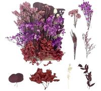 Dried Flowers, Pressed Flowers Dry Flowers Dried Flowers Crafts for DIY Arts Resin Scrapbooking Jewelry Making Floral Decorations（Red+Pink）