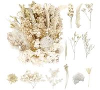 Dried Flowers, Pressed Flowers Dry Flowers Dried Flowers Crafts for DIY Arts Resin Scrapbooking Jewelry Making Floral Decorations（Pure White）