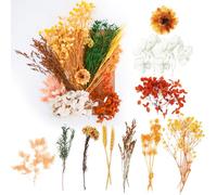 Dried Flowers, Pressed Flowers Dry Flowers Dried Flowers Crafts for Diy Arts Resin Scrapbooking Jewelry Making Floral Decorations（Orange）