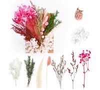 Dried Flowers, Pressed Flowers Dry Flowers Dried Flowers Crafts for Diy Arts Resin Scrapbooking Jewelry Making Floral Decorations（Pink and Cyan）